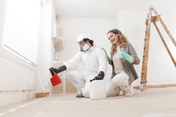 Professional Mold Removal in Hickman, NE